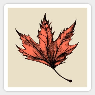 Fall Leaf Drawn Sticker